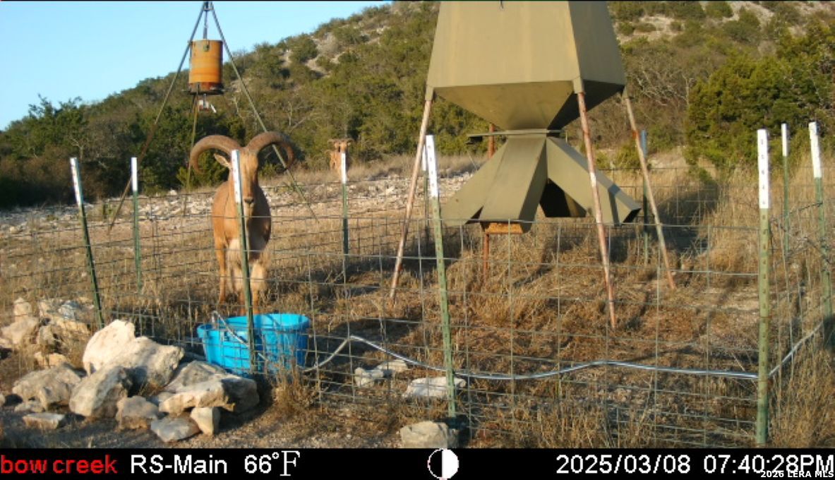 2190 Cr 650 Rocksprings TX 78880
