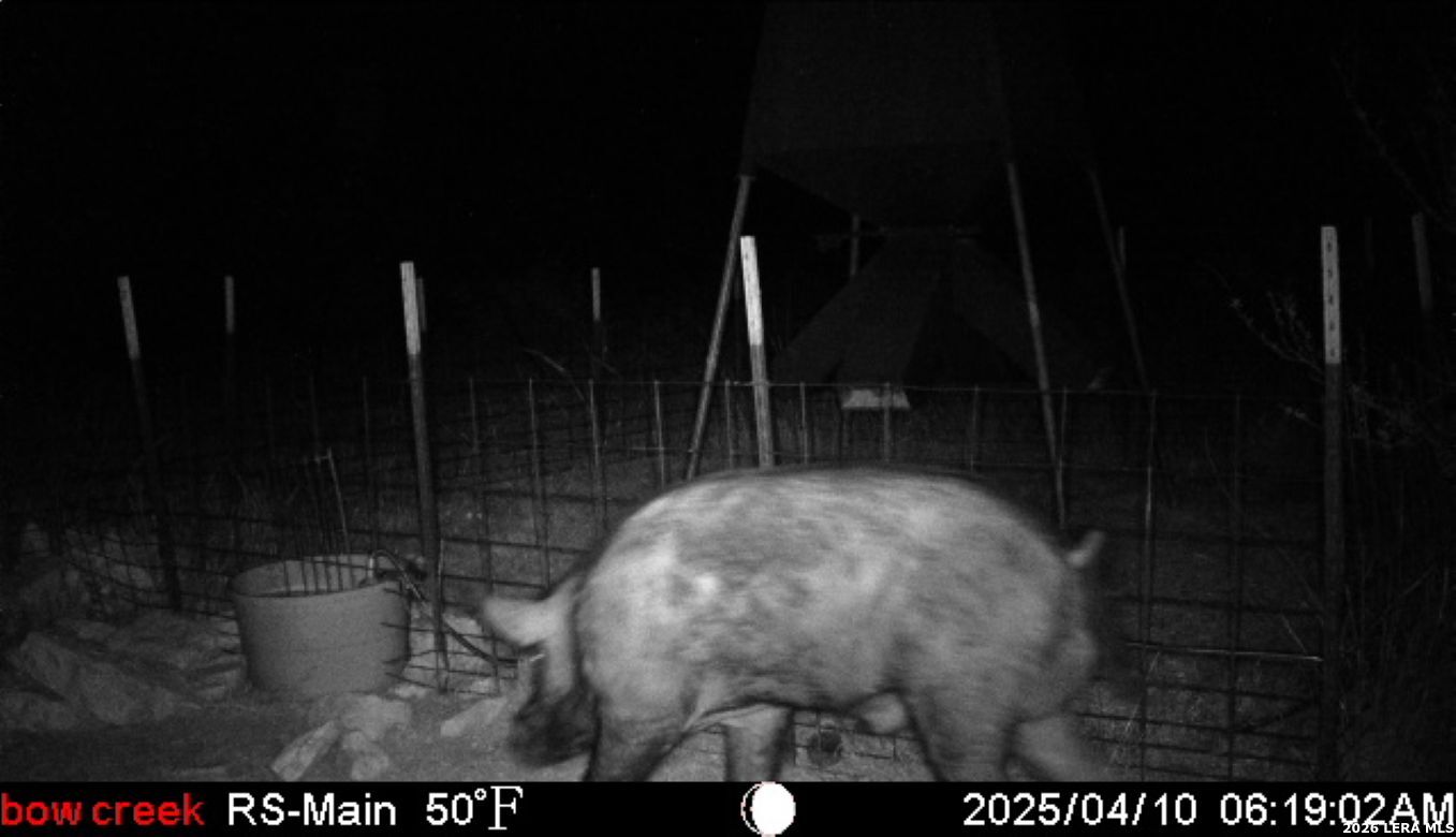 2190 Cr 650 Rocksprings TX 78880
