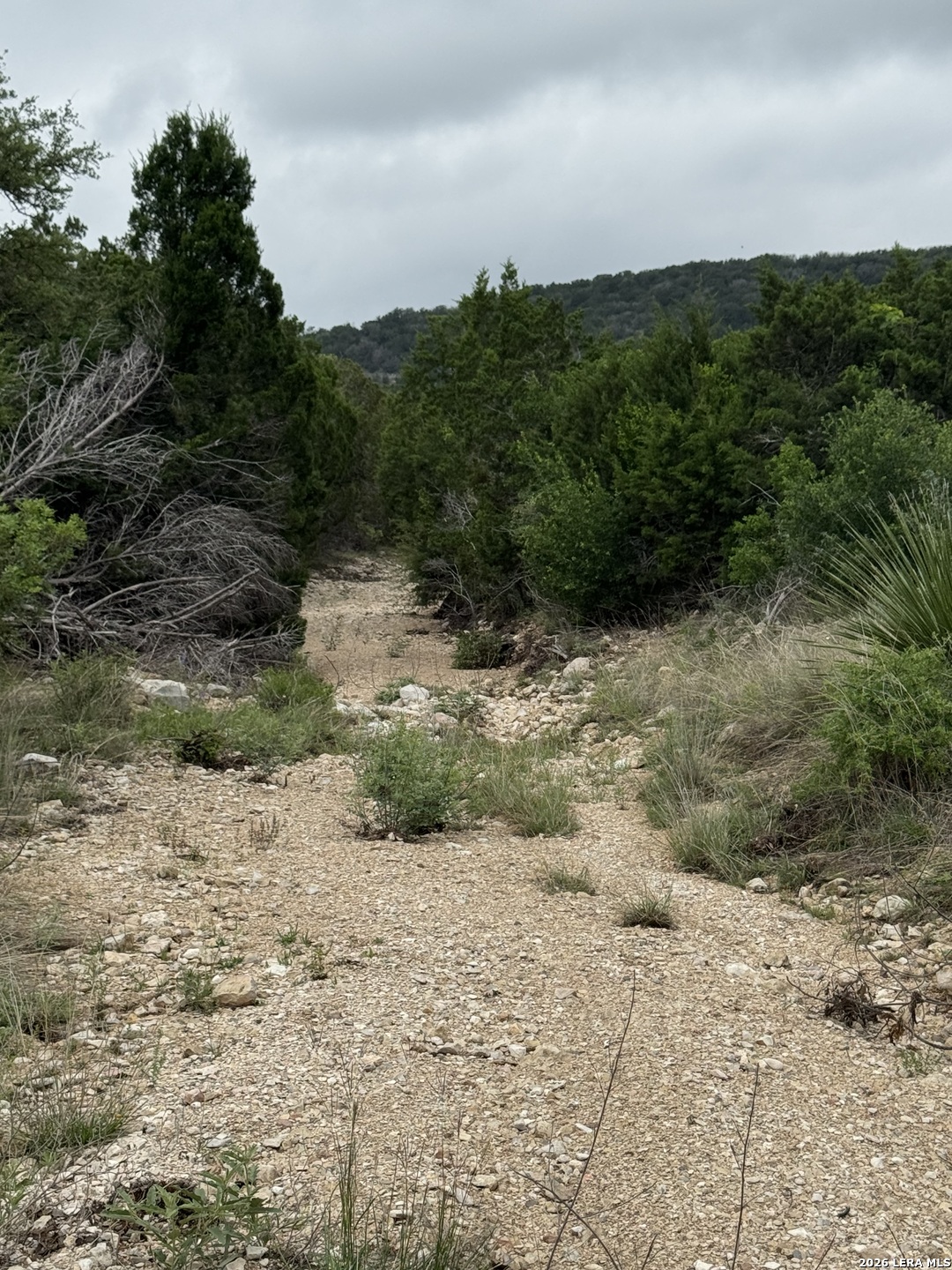 2190 Cr 650 Rocksprings TX 78880