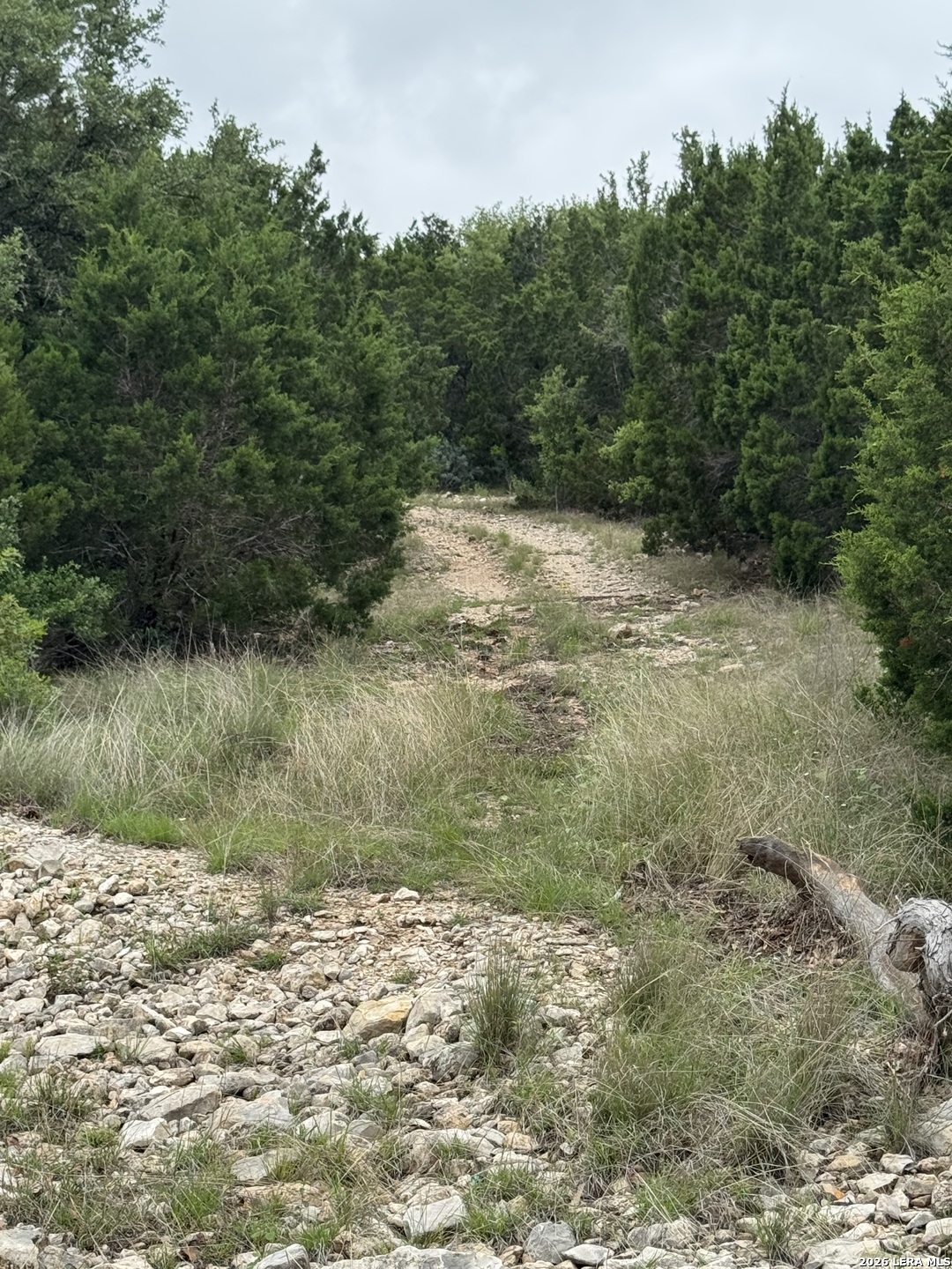 2190 Cr 650 Rocksprings TX 78880