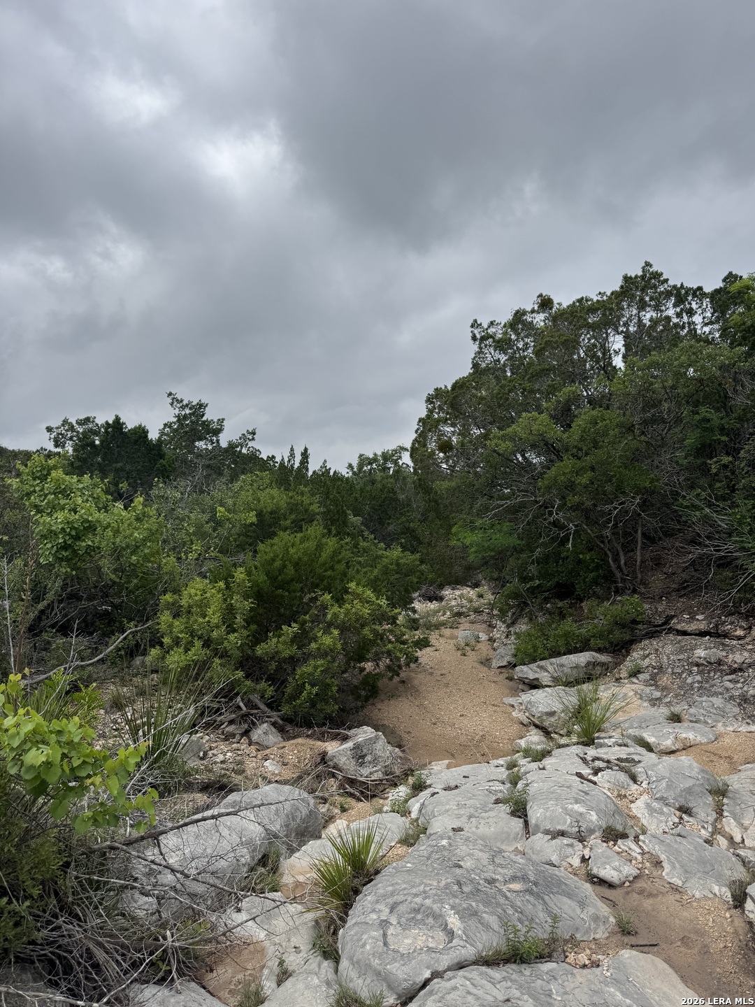 2190 Cr 650 Rocksprings TX 78880