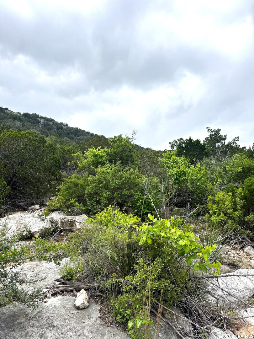 2190 Cr 650 Rocksprings TX 78880