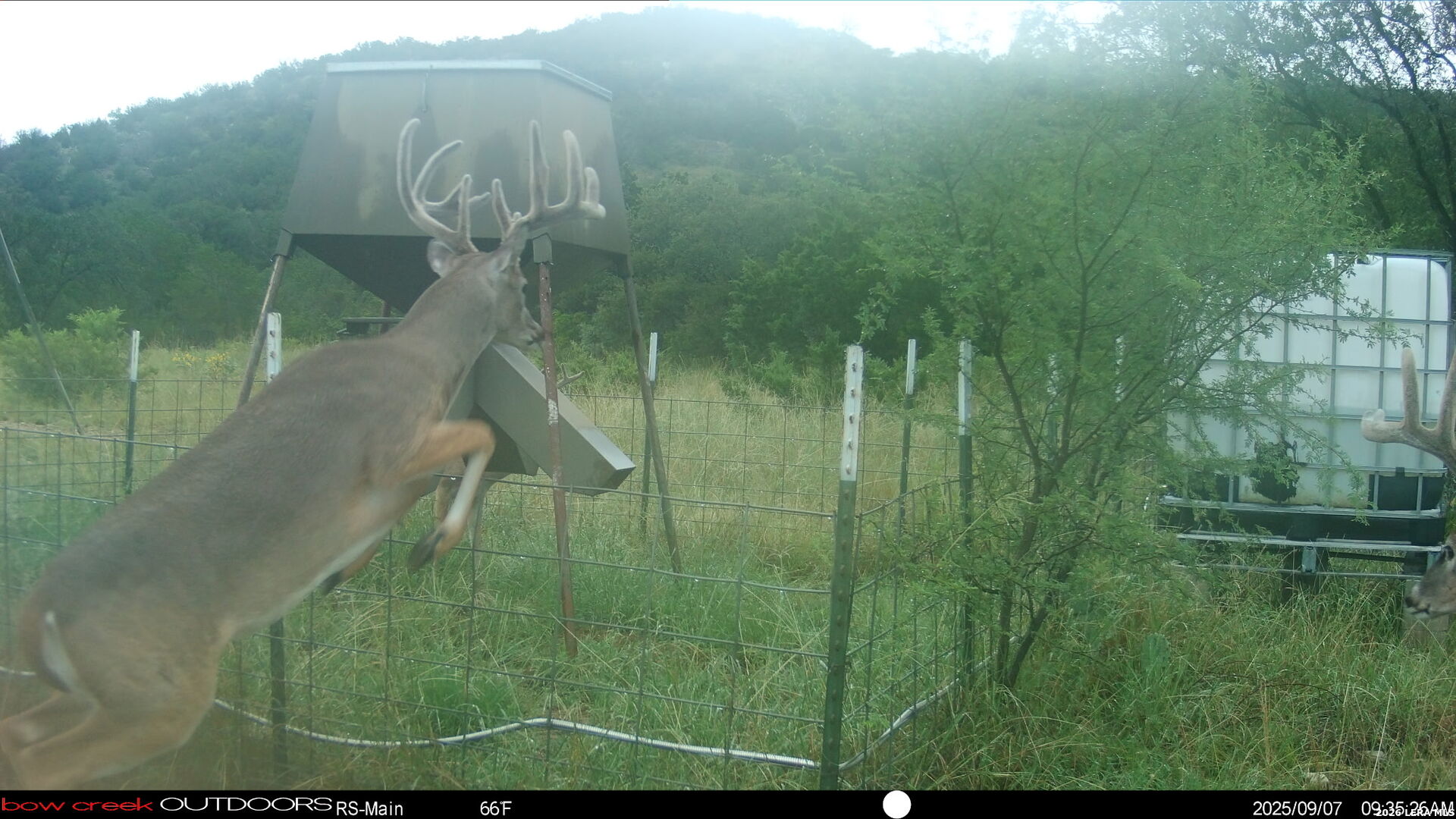 2190 Cr 650 Rocksprings TX 78880