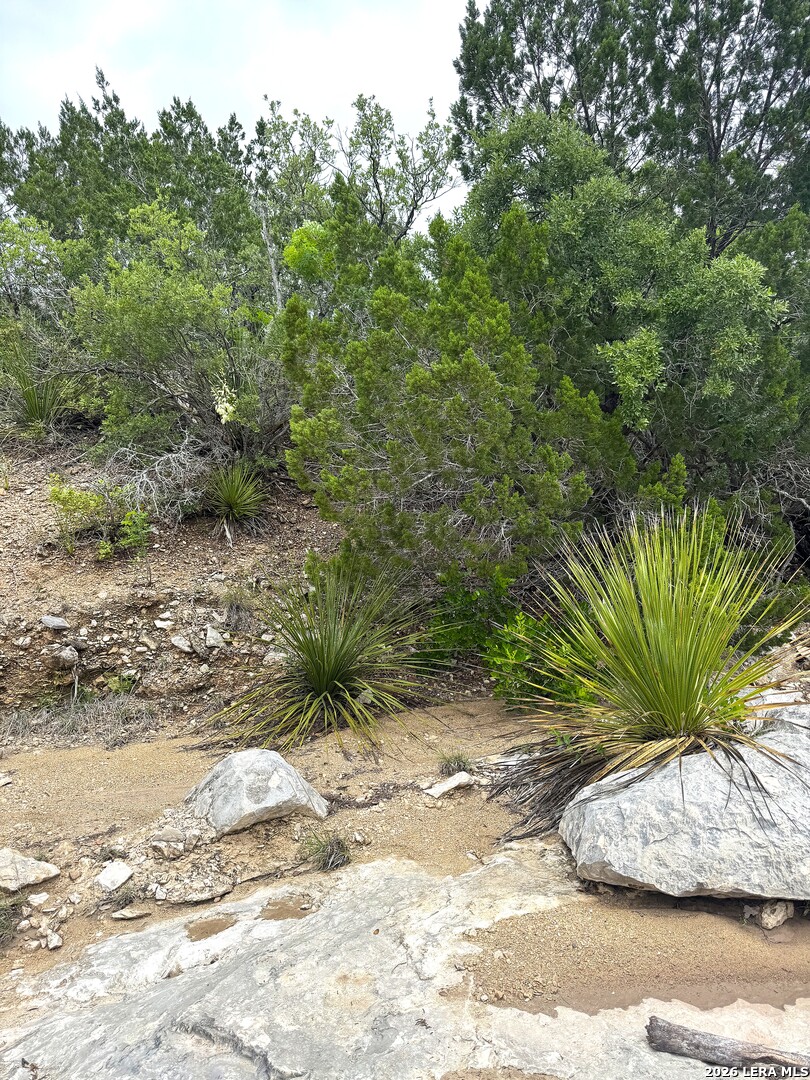 2190 Cr 650 Rocksprings TX 78880
