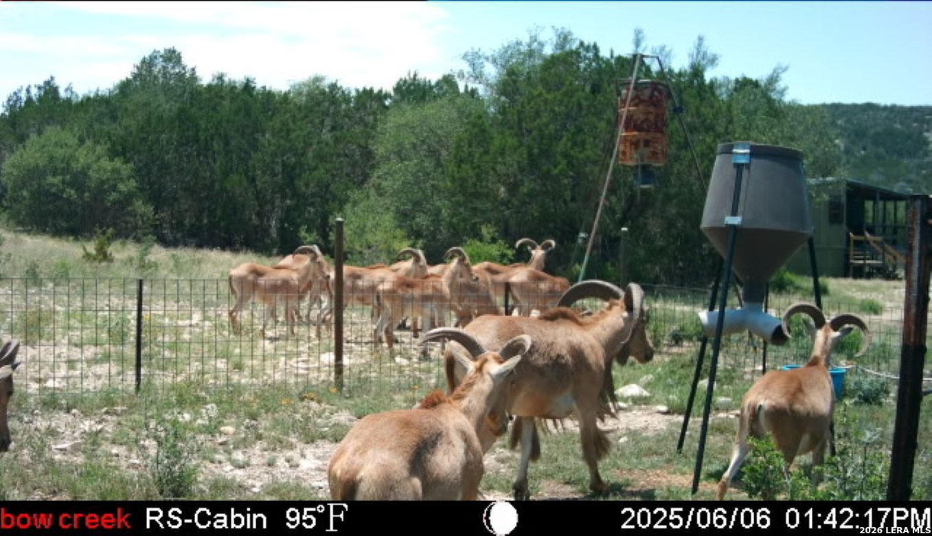 2190 Cr 650 Rocksprings TX 78880