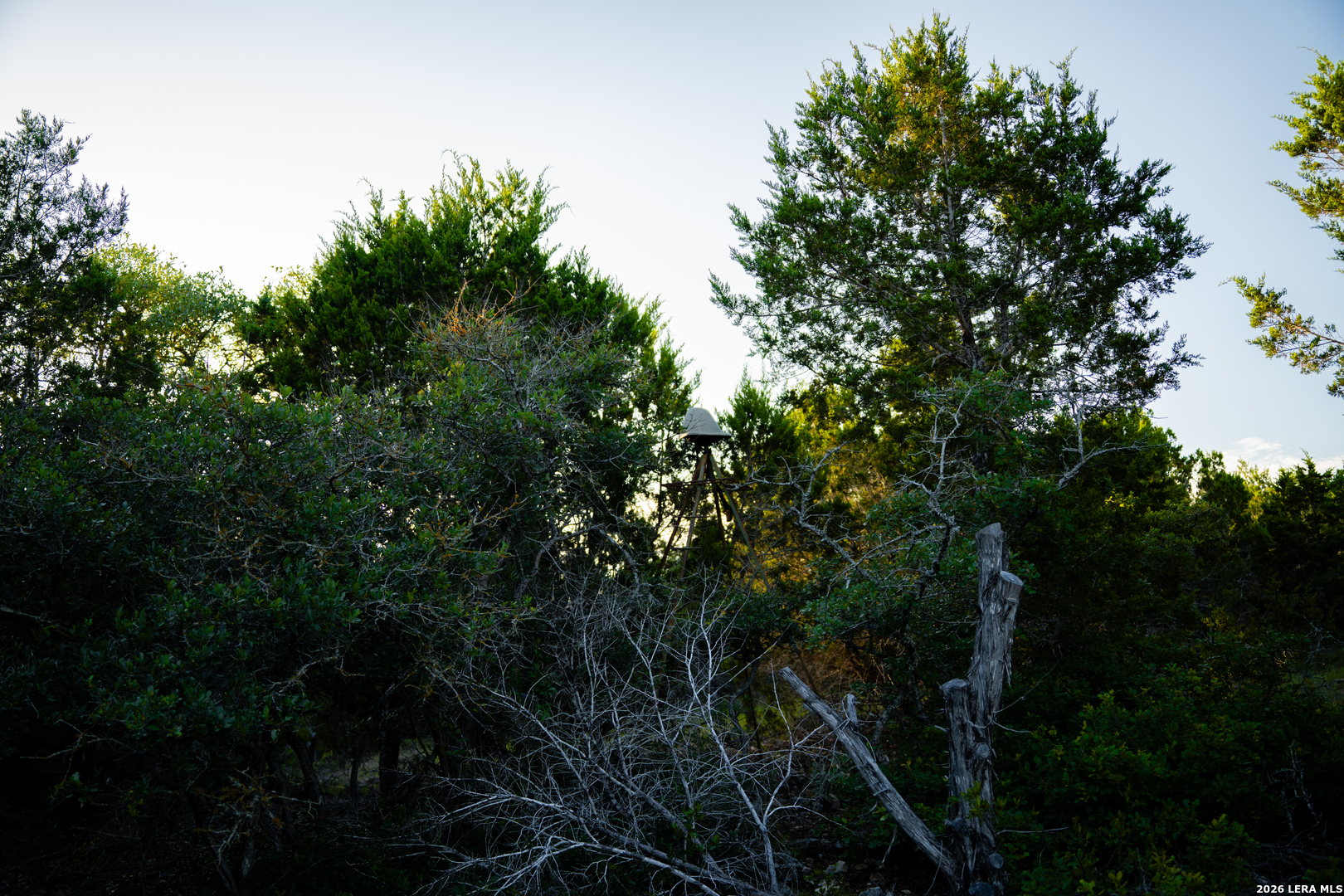 189 Camp Fire Trail W Hunt TX 78024