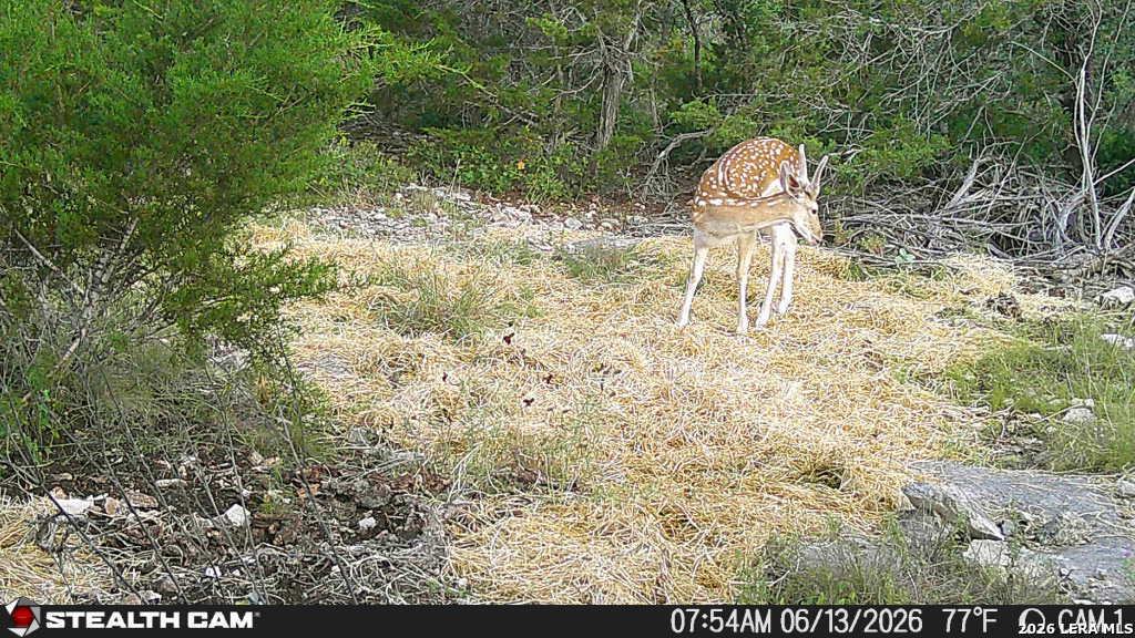 189 Camp Fire Trail W Hunt TX 78024