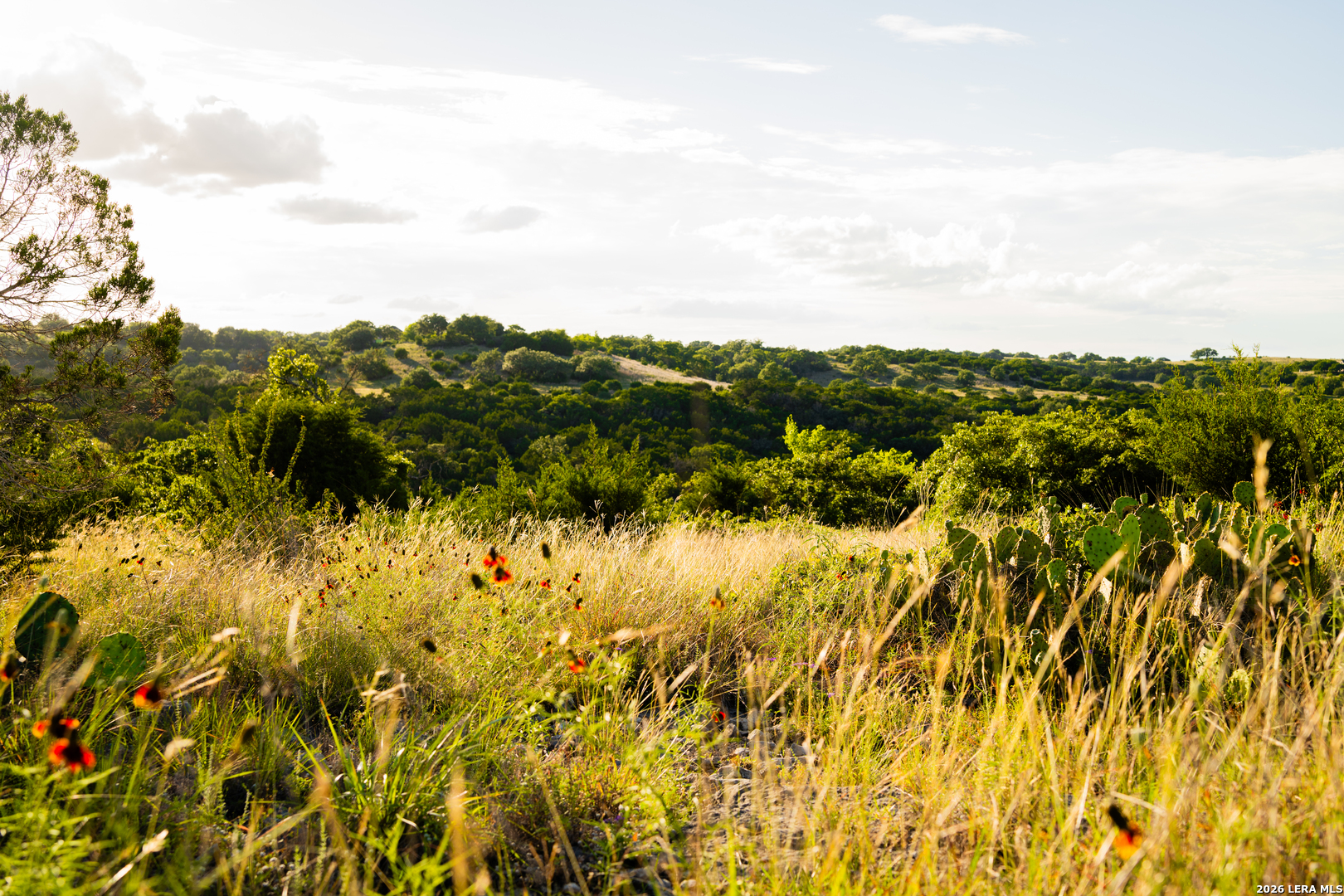189 Camp Fire Trail W Hunt TX 78024