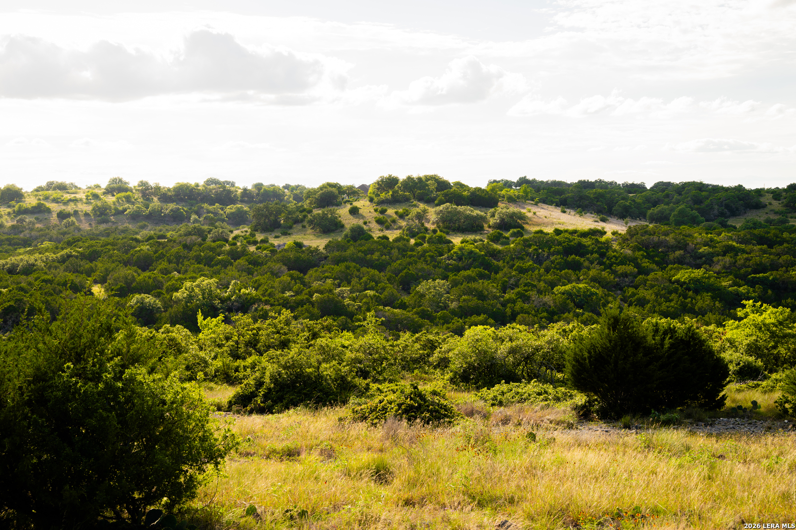 189 Camp Fire Trail W Hunt TX 78024