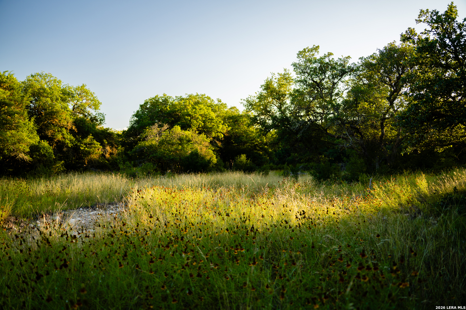 189 Camp Fire Trail W Hunt TX 78024