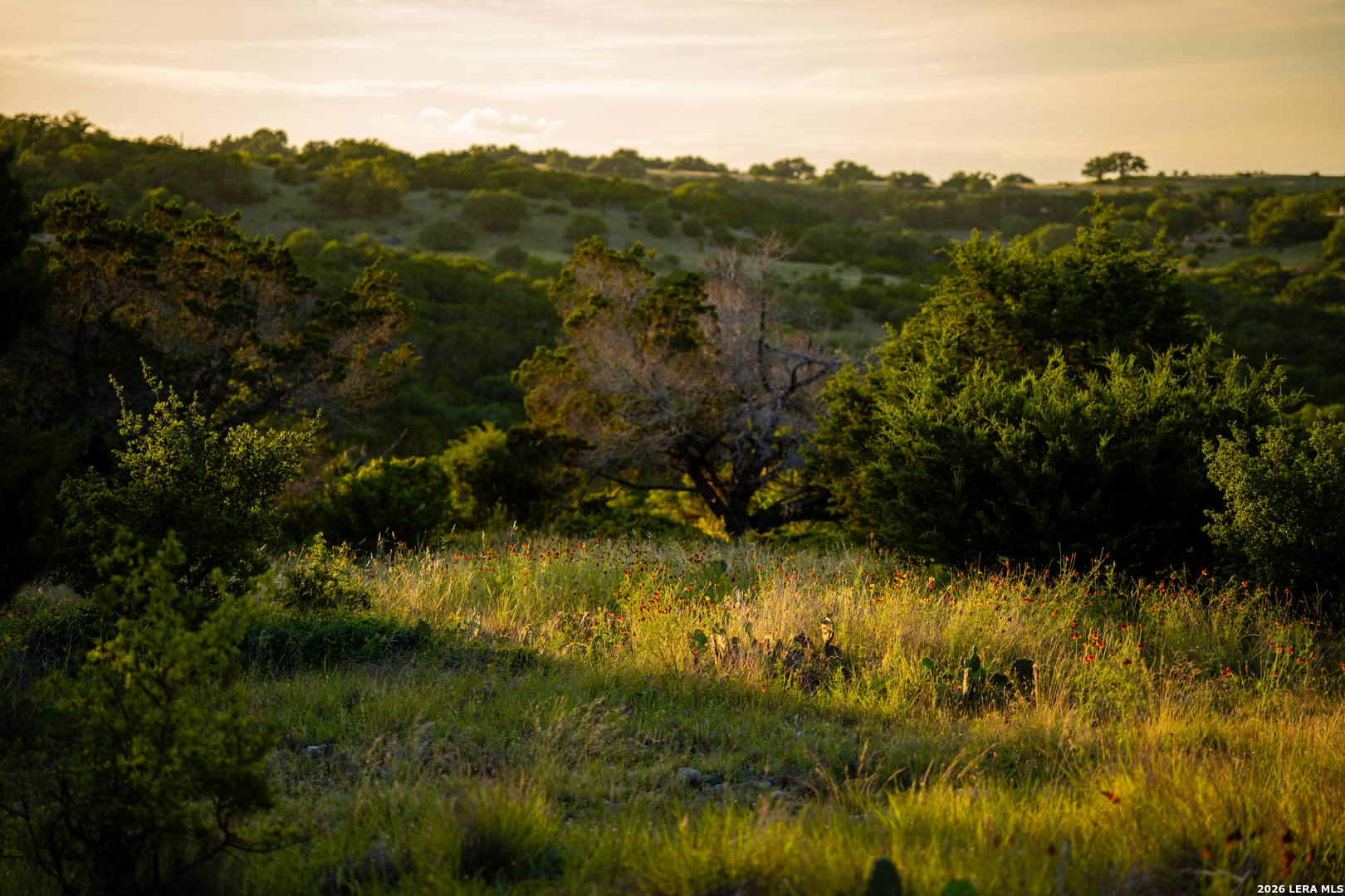 189 Camp Fire Trail W Hunt TX 78024