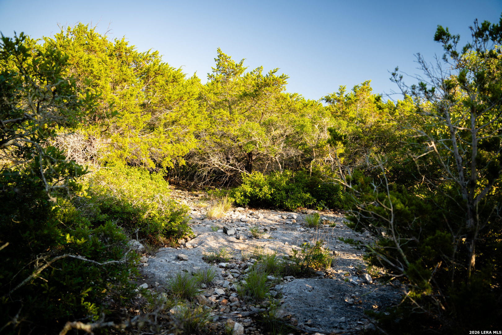 189 Camp Fire Trail W Hunt TX 78024