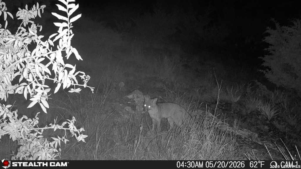 189 Camp Fire Trail W Hunt TX 78024