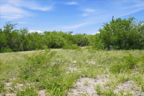 731 County Road 325 George West TX 78022