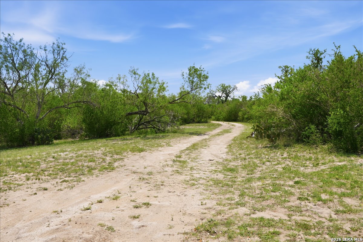 731 County Road 325 George West TX 78022