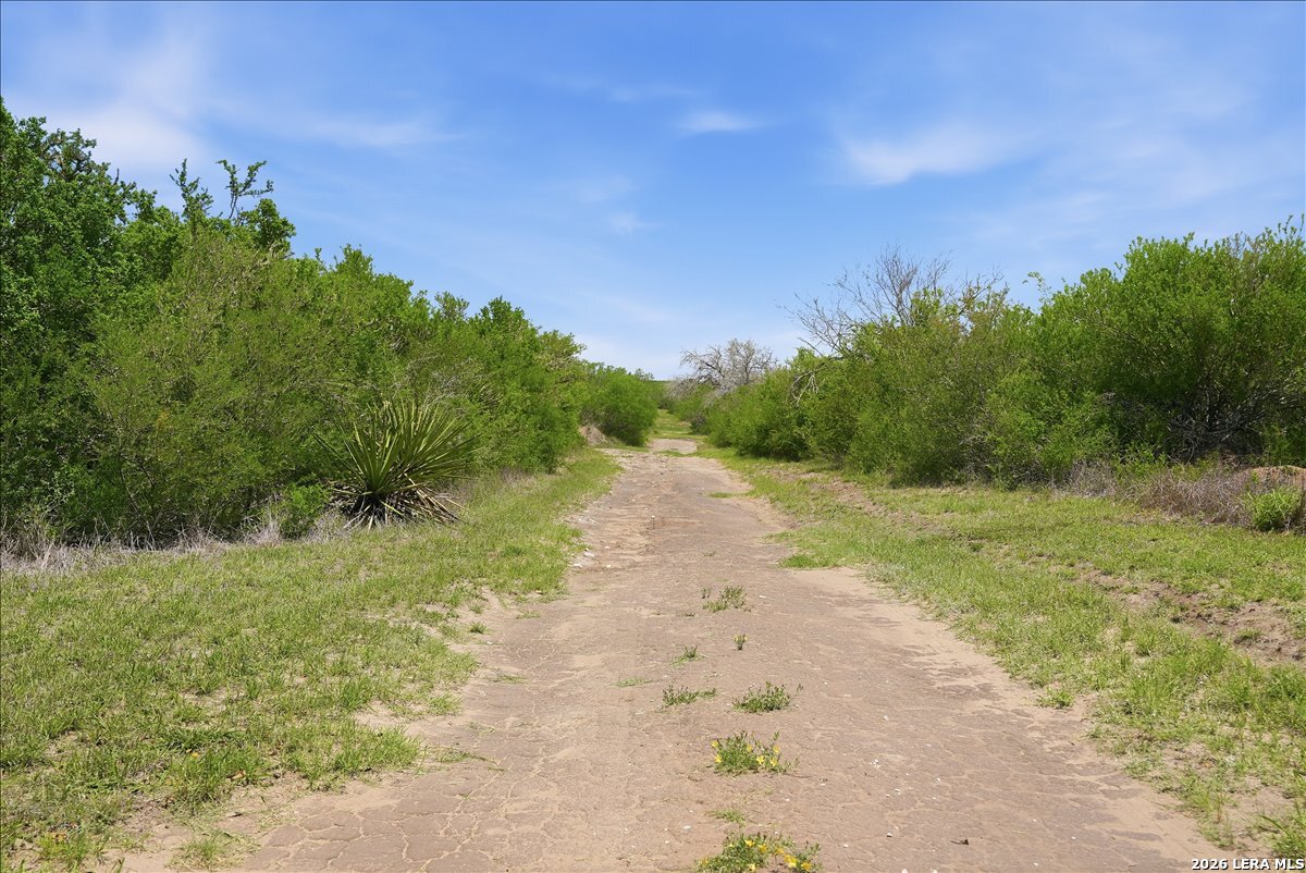 731 County Road 325 George West TX 78022