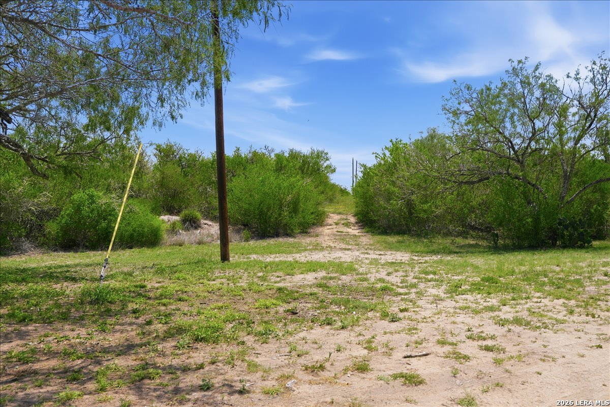 731 County Road 325 George West TX 78022