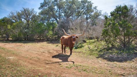 19316 Ranch Road 1871 Mason TX 76856