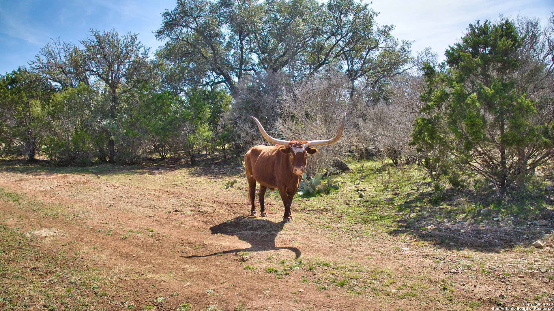 19316 Ranch Road 1871 Mason TX 76856