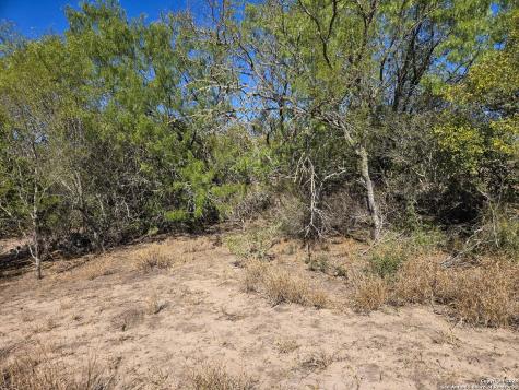 00 Cr 123 Pawnee TX 78145