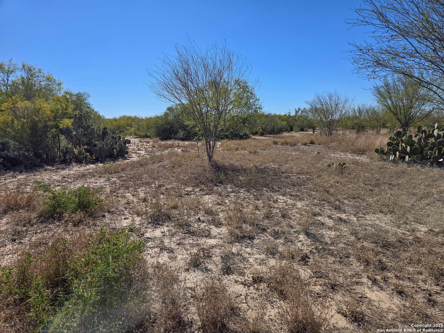 00 Cr 123 Pawnee TX 78145
