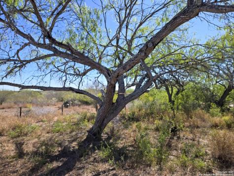 00 Cr 123 Pawnee TX 78145