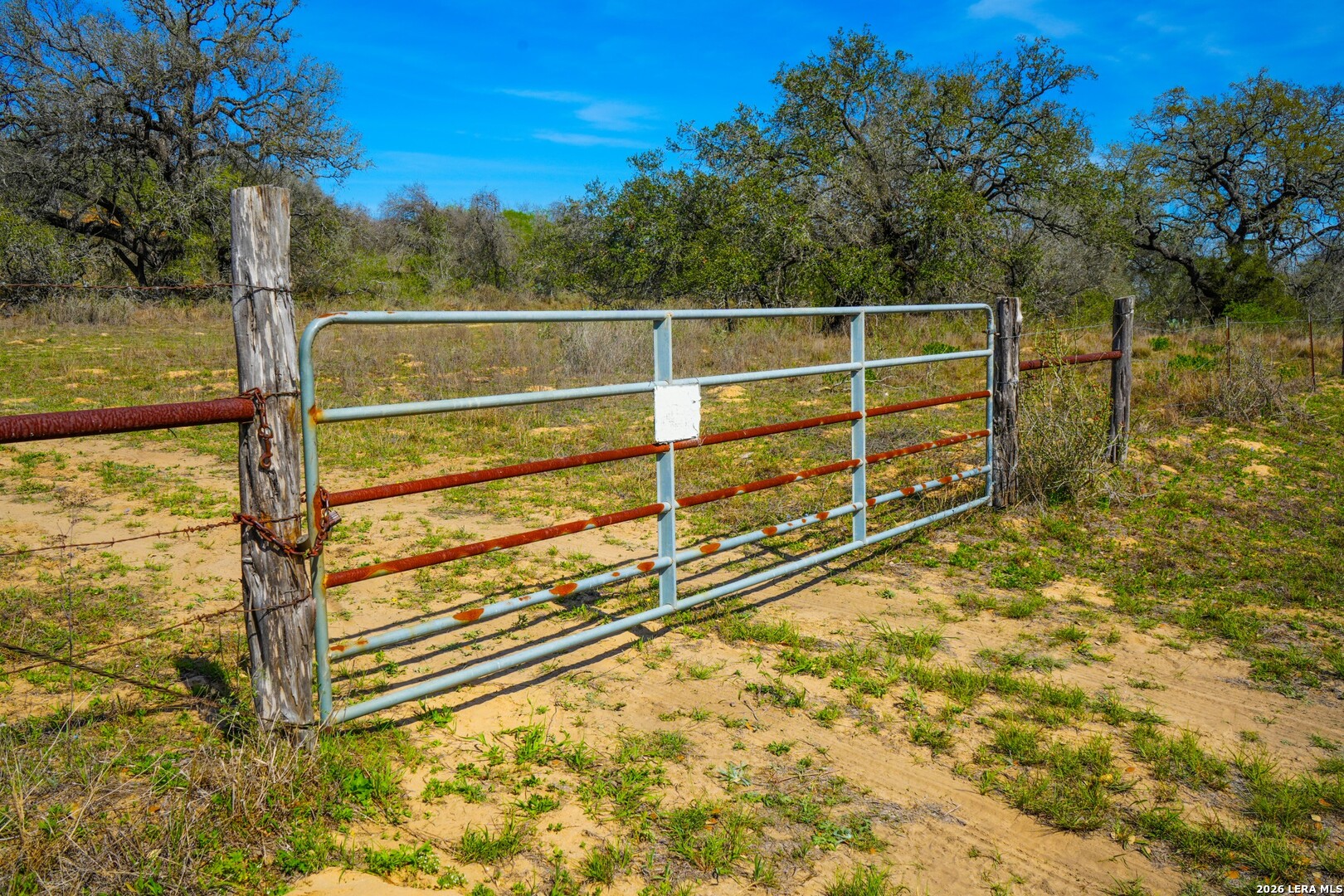 9521 Fm 1303 Floresville TX 78114