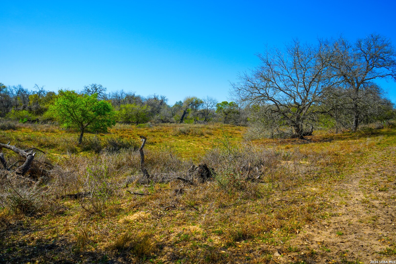 9521 Fm 1303 Floresville TX 78114