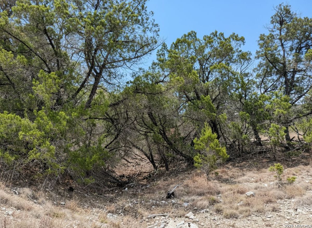 898 Mountain View Lane Pipe Creek TX 78063