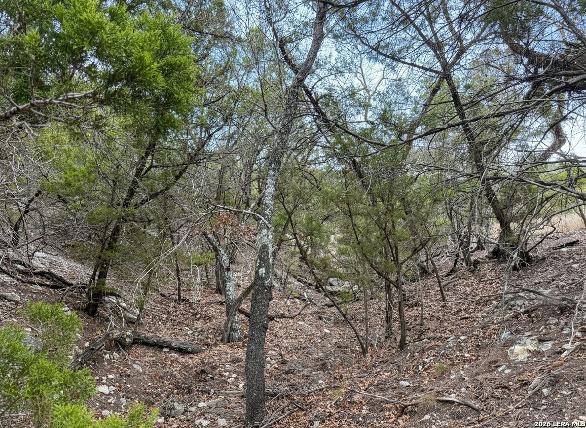 898 Mountain View Lane Pipe Creek TX 78063