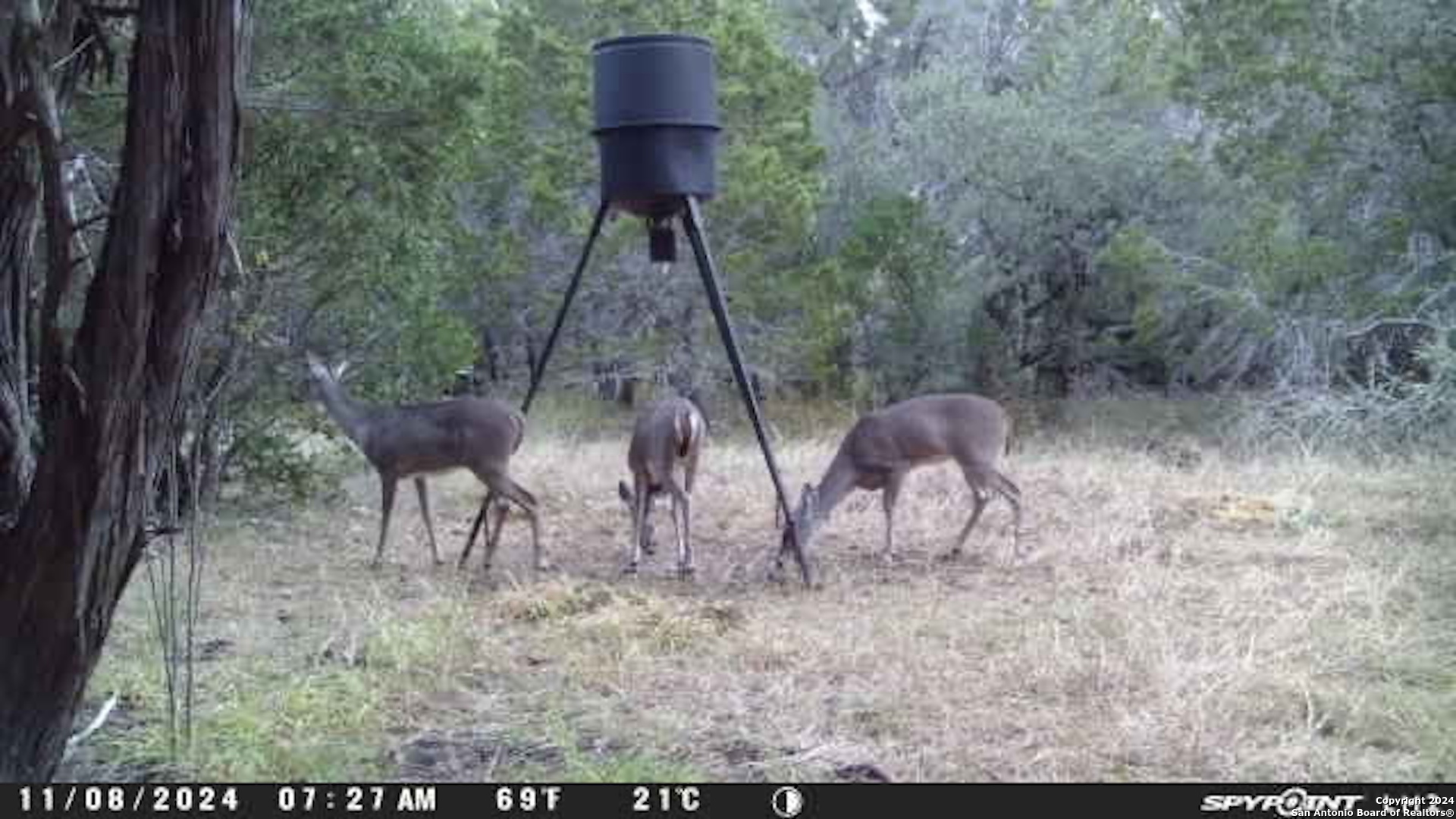 890 County Road 246 Hondo TX 78861