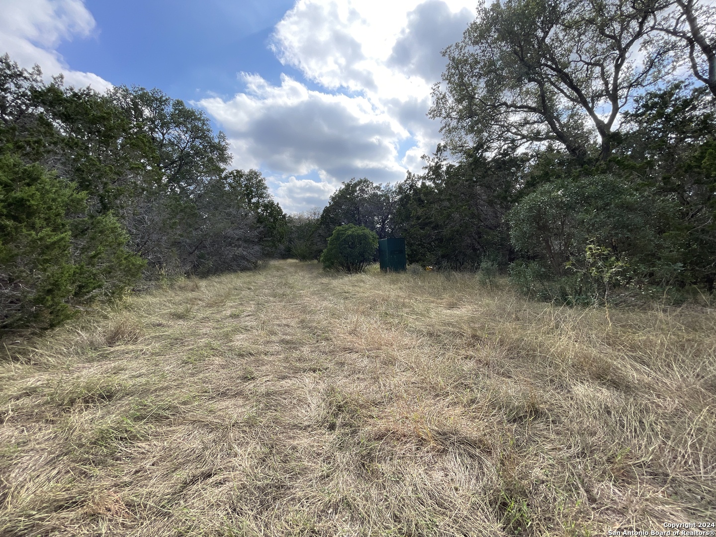 890 County Road 246 Hondo TX 78861