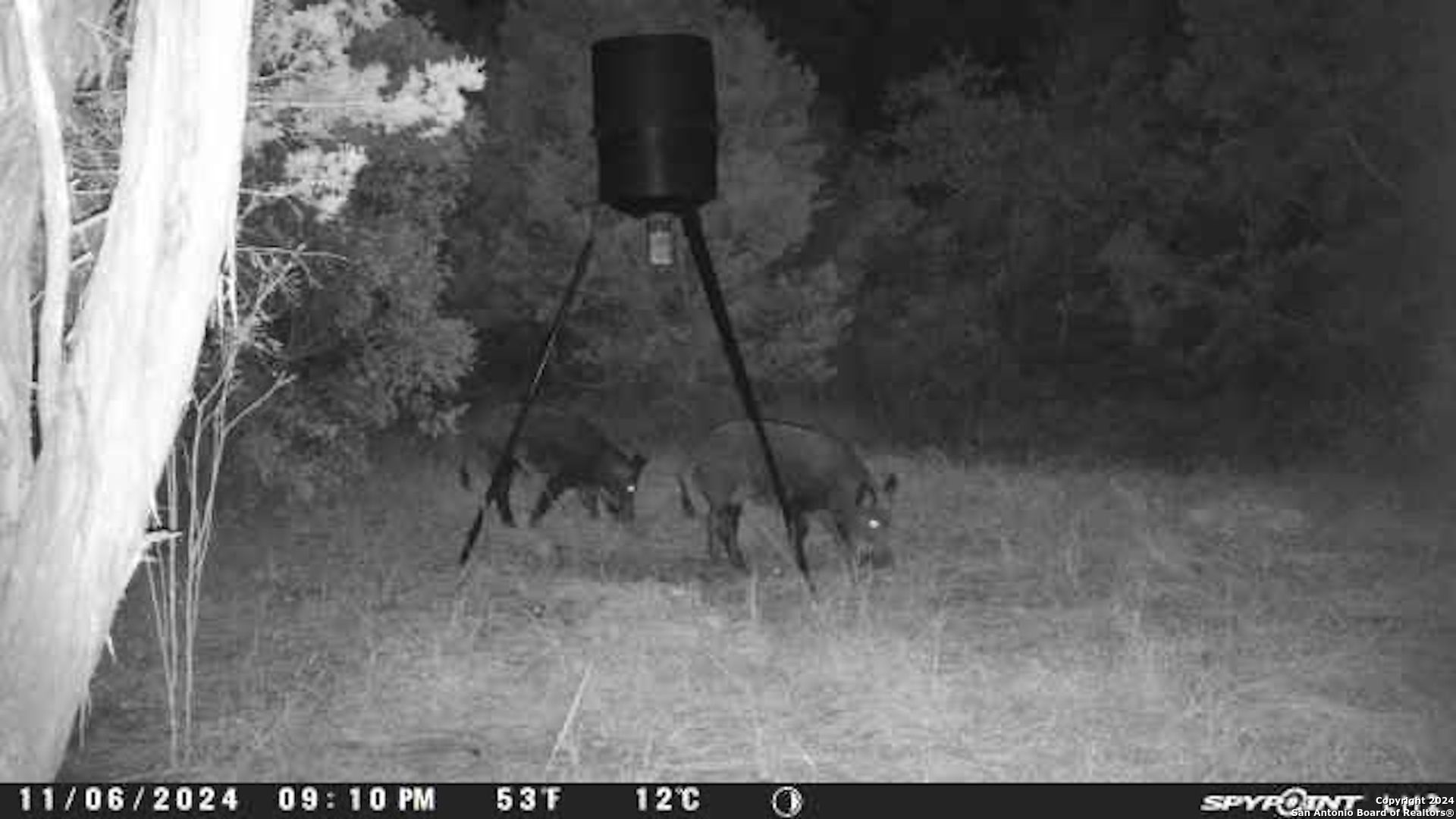 890 County Road 246 Hondo TX 78861