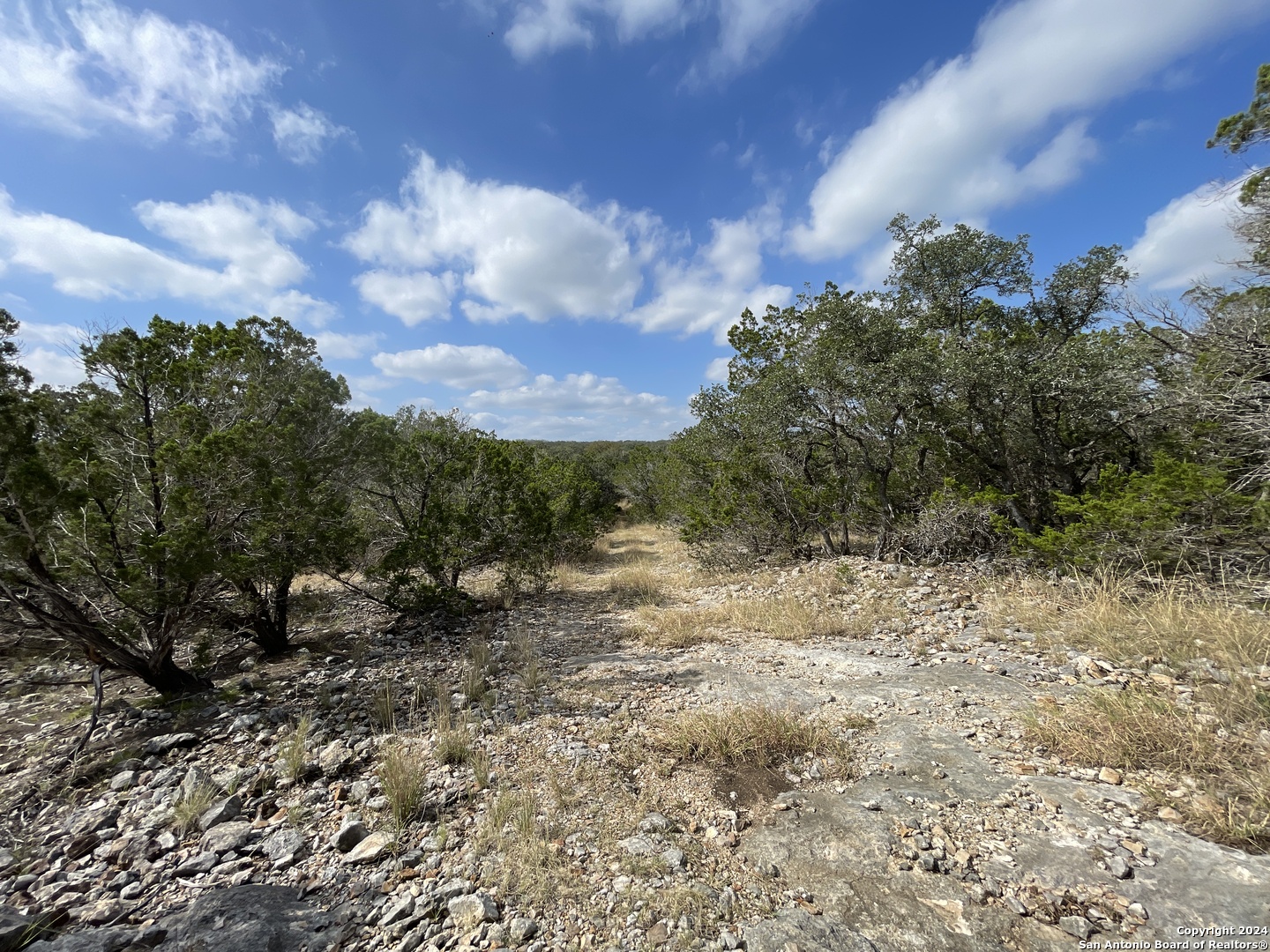 890 County Road 246 Hondo TX 78861