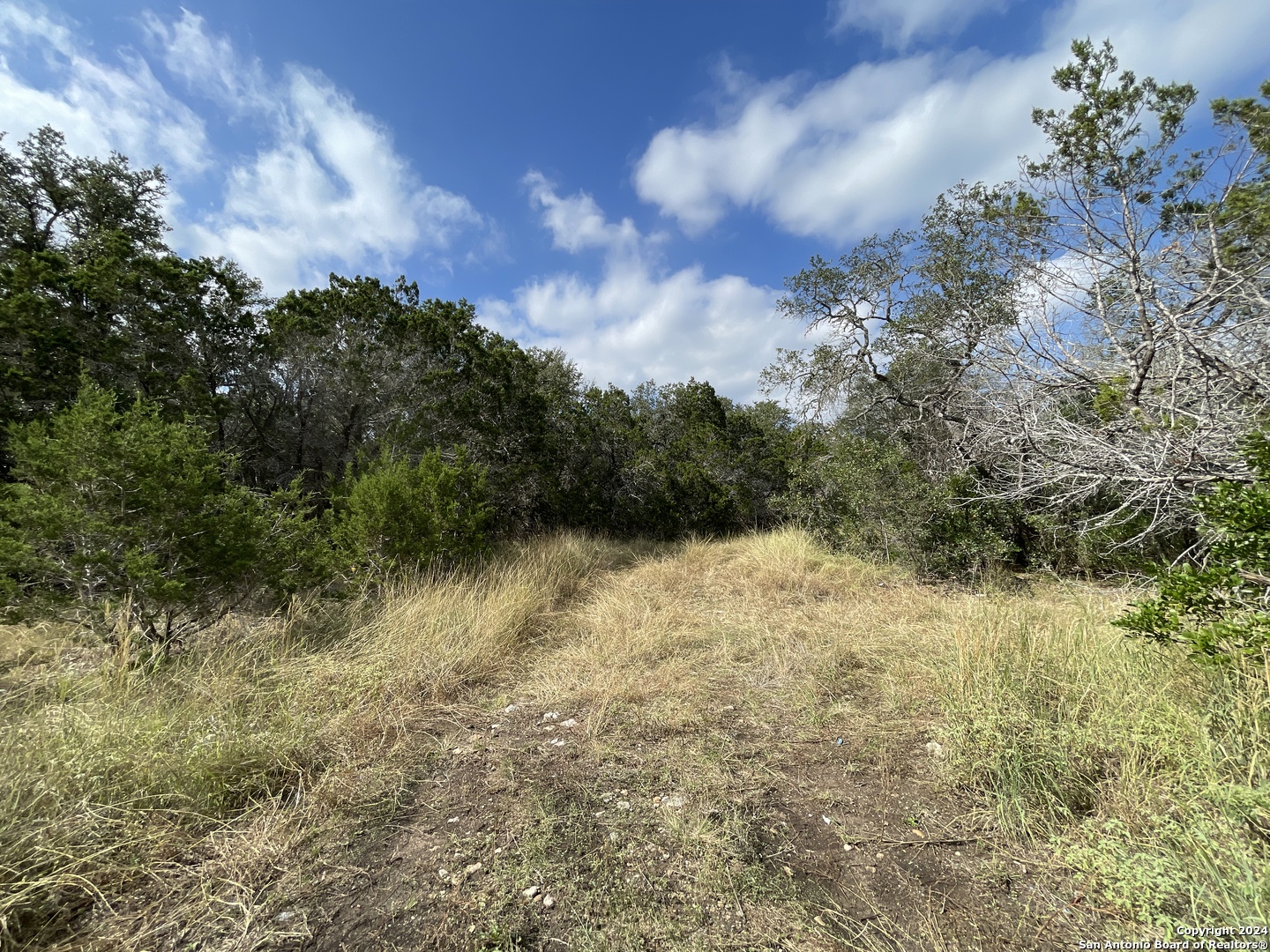 890 County Road 246 Hondo TX 78861