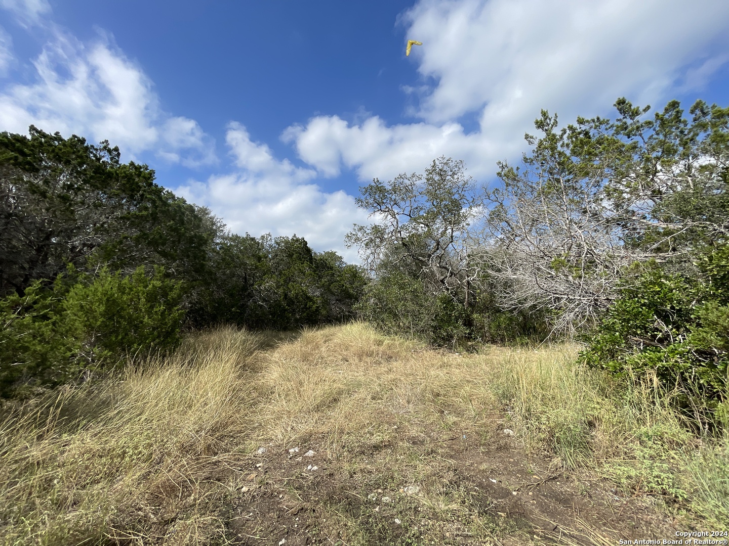890 County Road 246 Hondo TX 78861