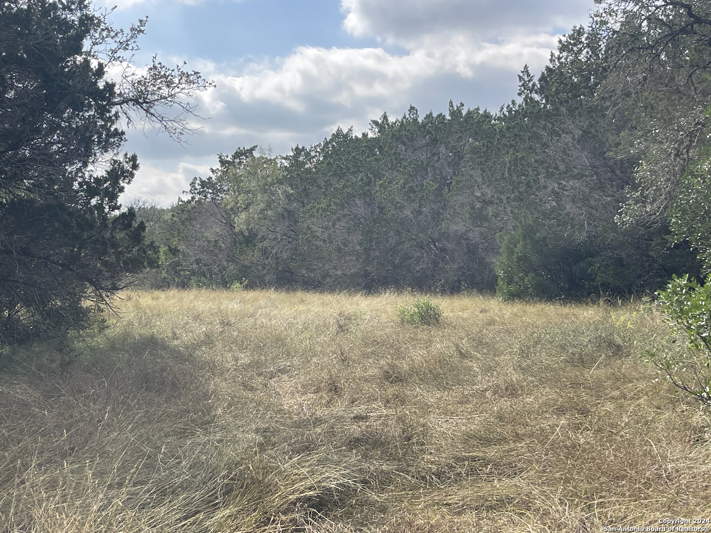 890 County Road 246 Hondo TX 78861