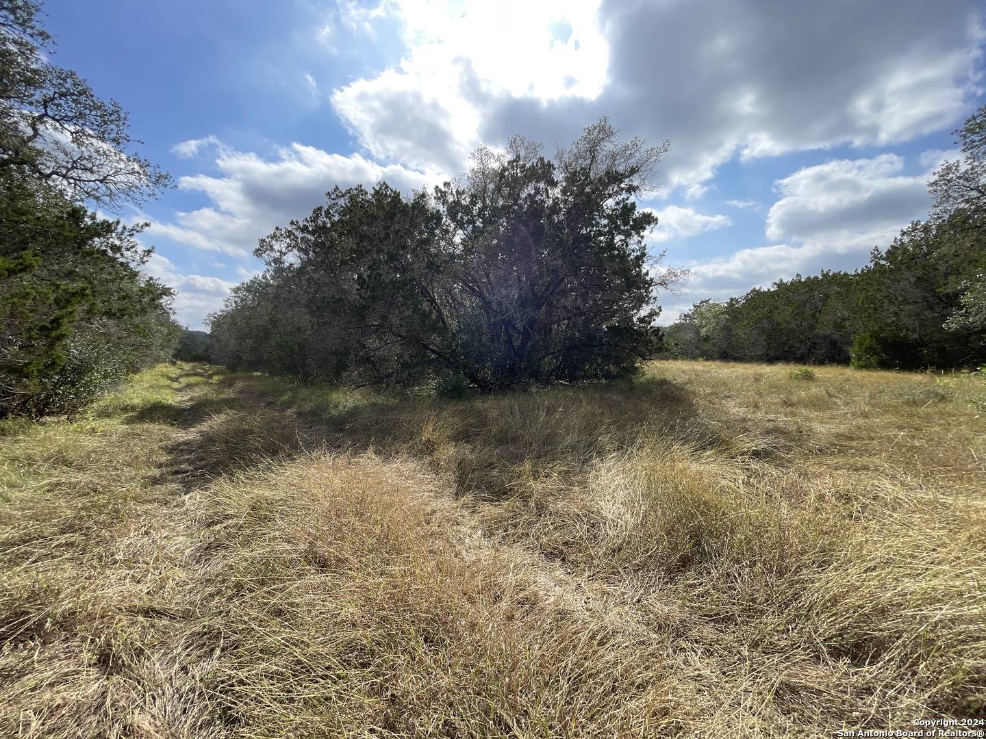 890 County Road 246 Hondo TX 78861