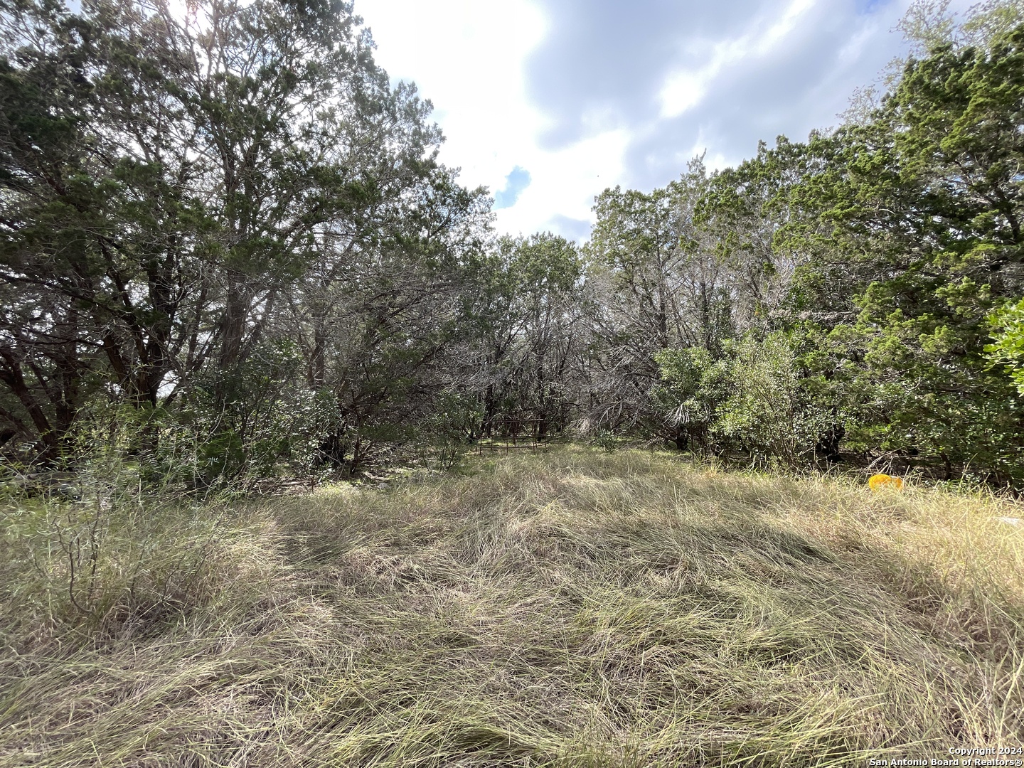 890 County Road 246 Hondo TX 78861
