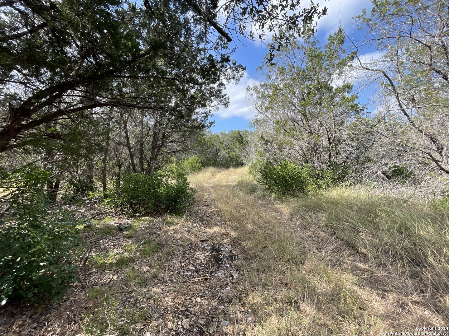 890 County Road 246 Hondo TX 78861