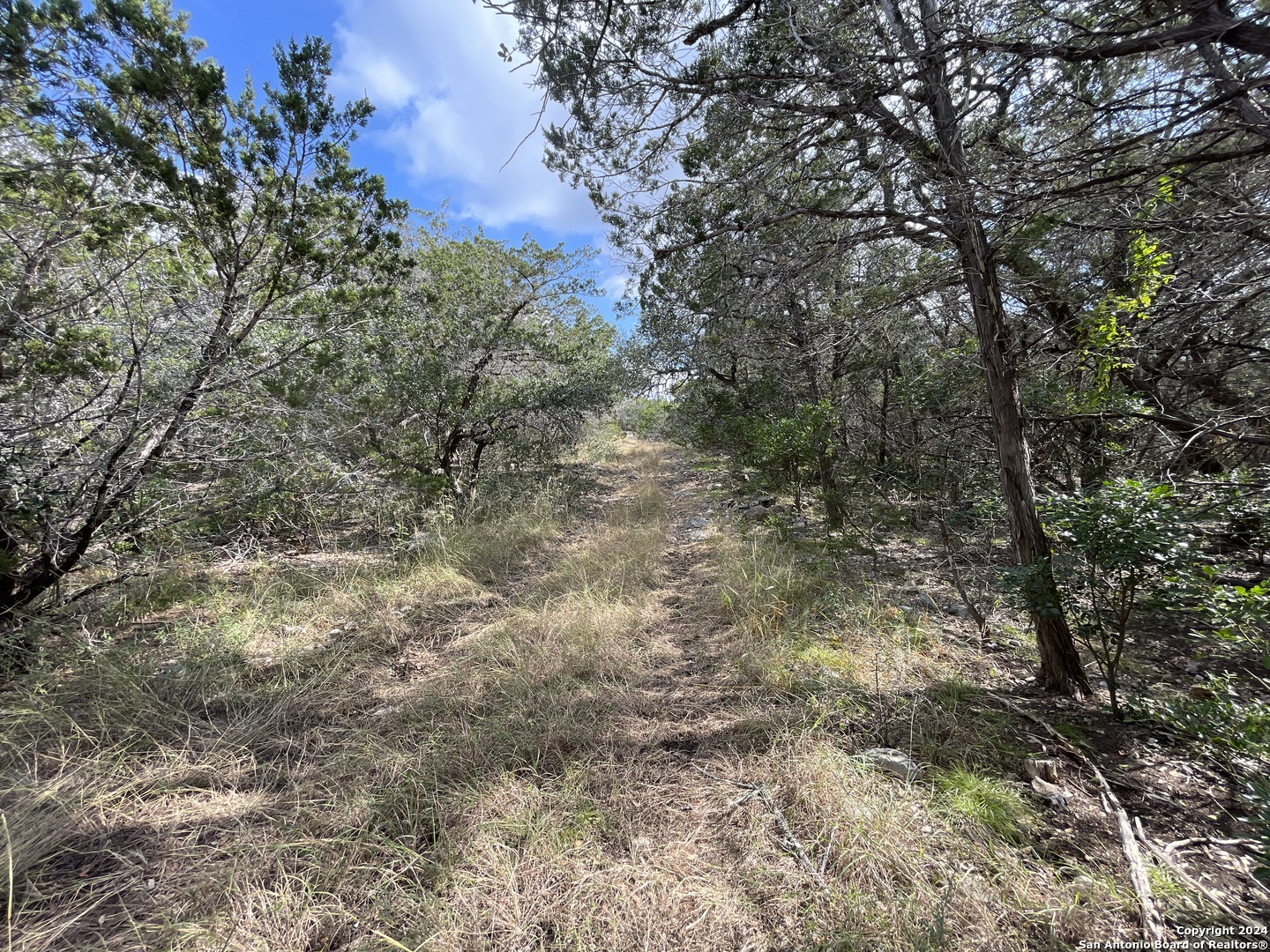 890 County Road 246 Hondo TX 78861