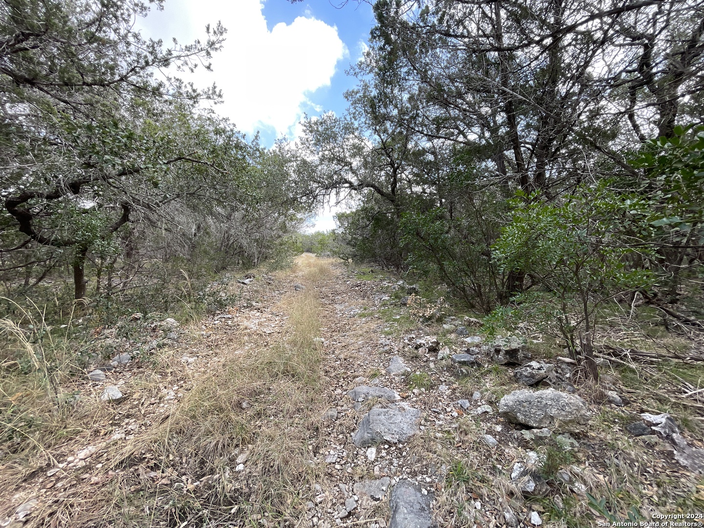 890 County Road 246 Hondo TX 78861