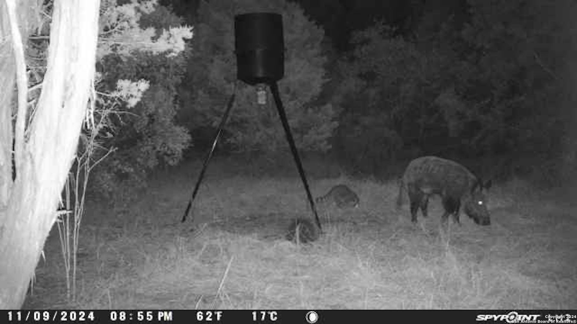 890 County Road 246 Hondo TX 78861
