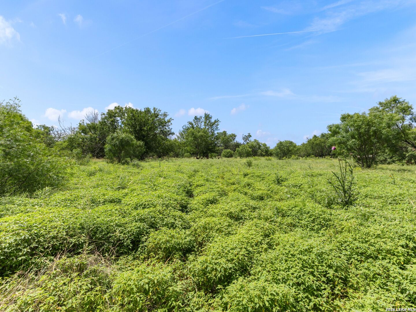 846 Fm 480 Center Point TX 78010