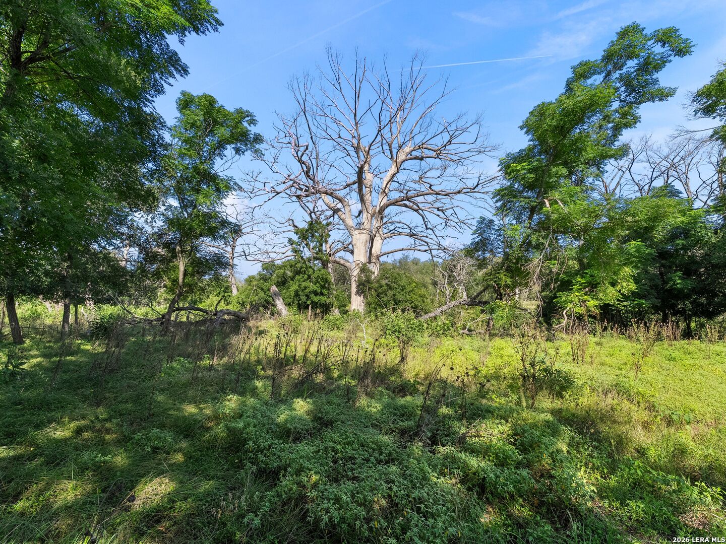 846 Fm 480 Center Point TX 78010