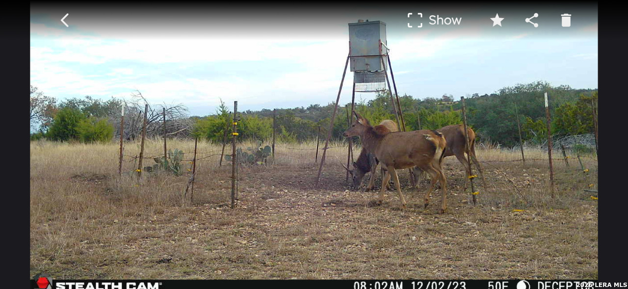 2633 Jackson Creek Medina TX 78055