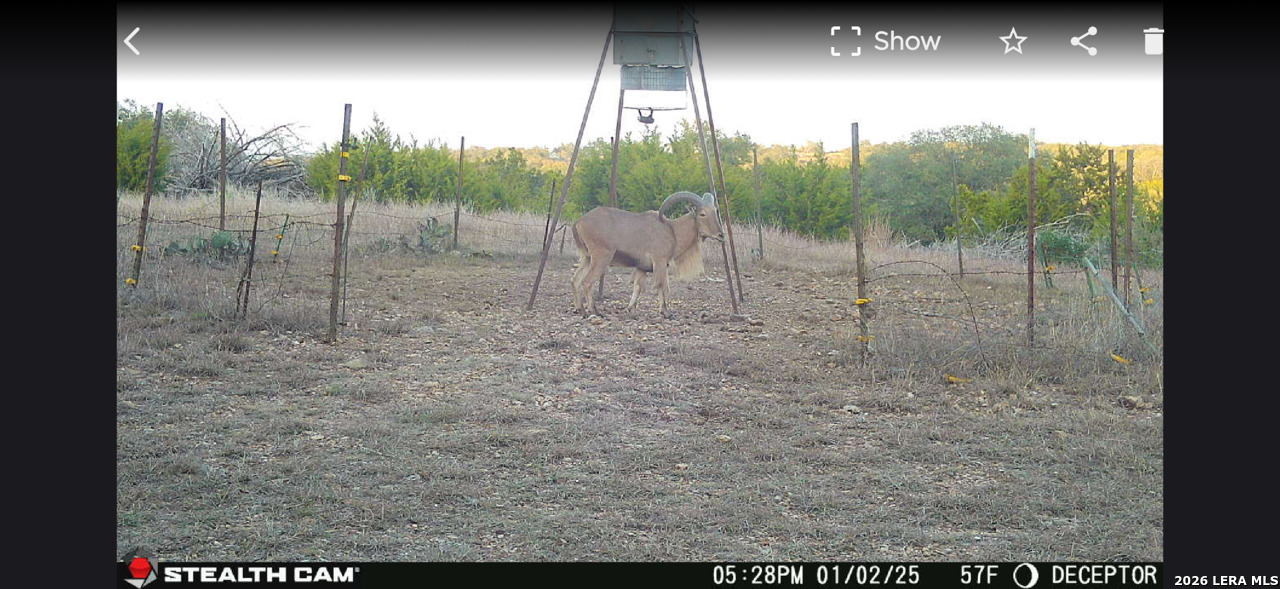 2633 Jackson Creek Medina TX 78055