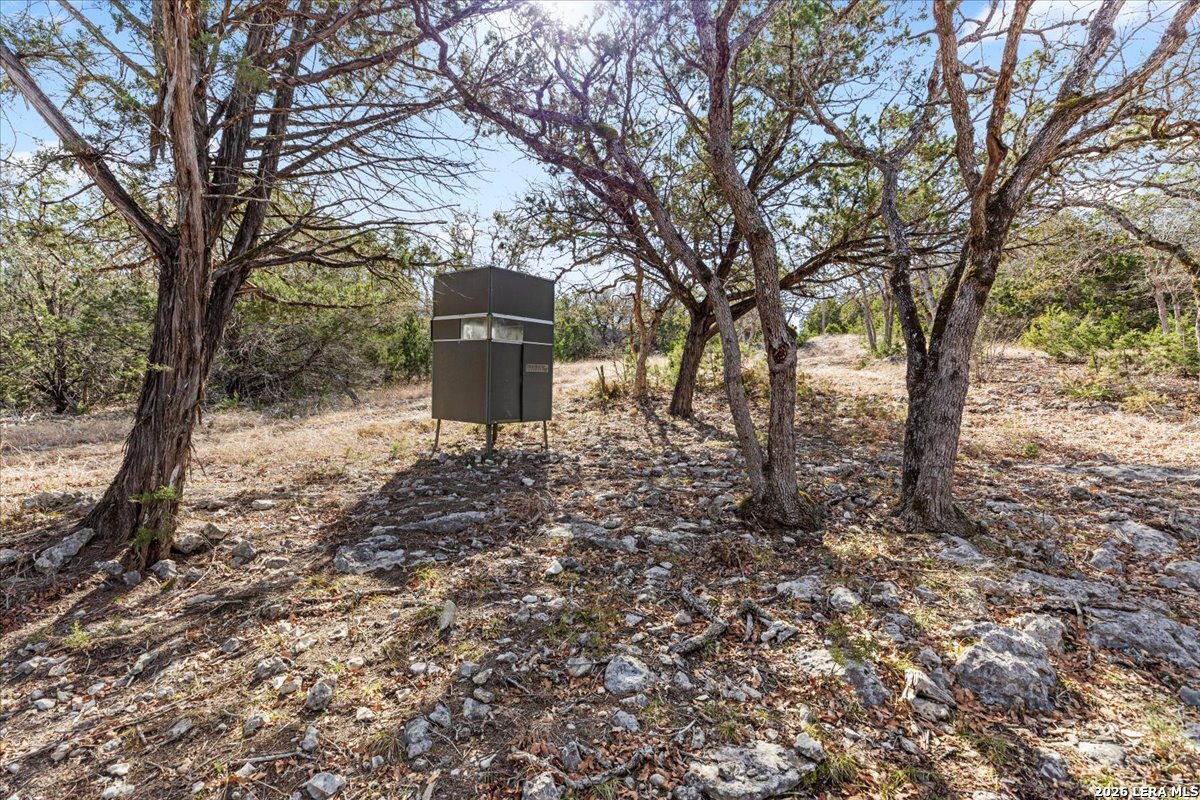 2633 Jackson Creek Medina TX 78055