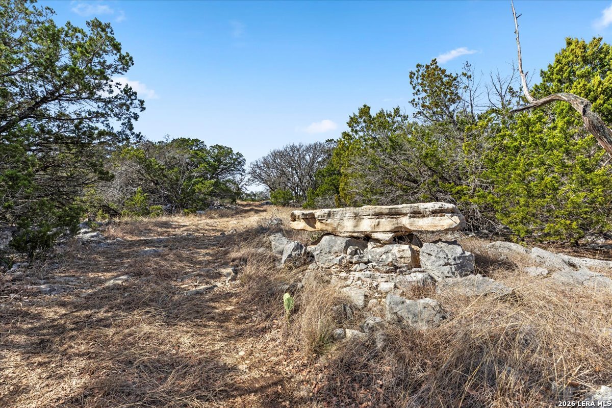 2633 Jackson Creek Medina TX 78055