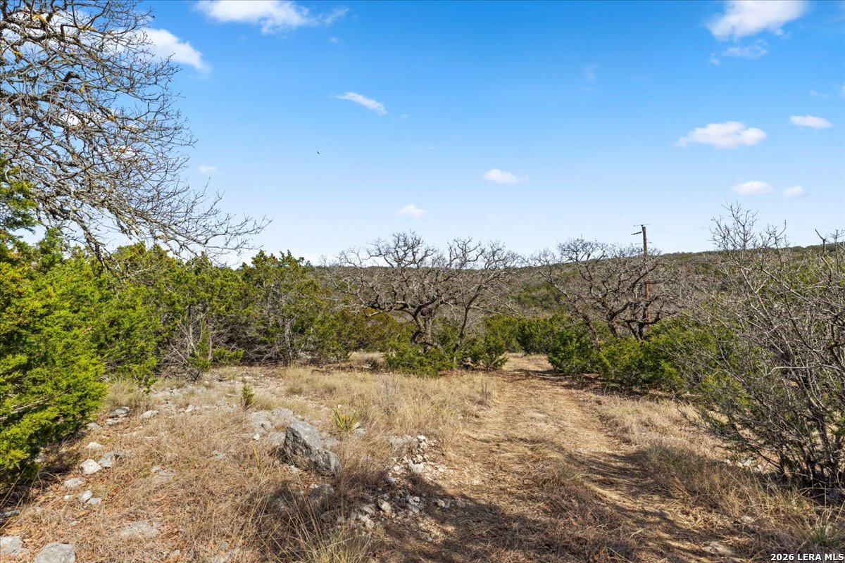 2633 Jackson Creek Medina TX 78055